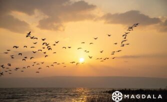 Disfruta de los atardeceres en el Mar de Galilea desde tu hogar