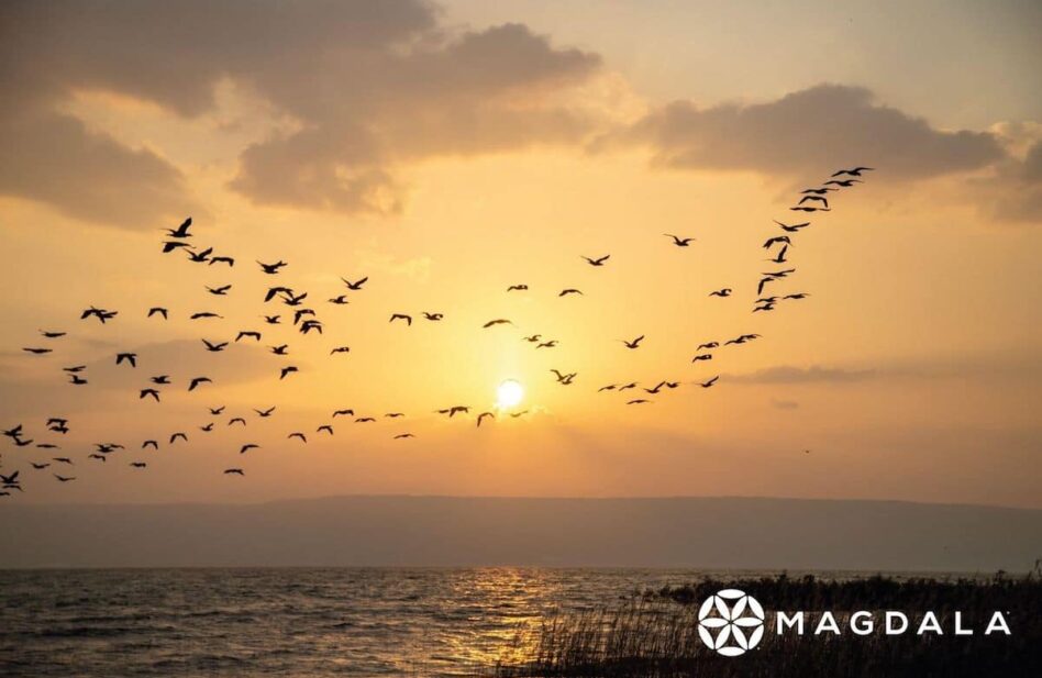 Disfruta de los atardeceres en el Mar de Galilea desde tu hogar