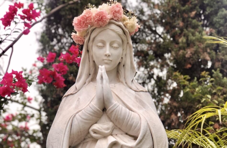 La hermosa relación entre la Virgen María y las flores