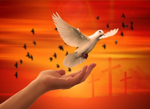Día Internacional de la Paz: Encíclicas que relatan la importancia de la paz