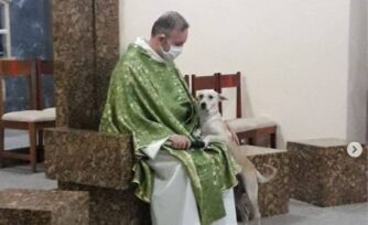 Sacerdote brasileño recoge perros callejeros y pide a fieles adoptarlos