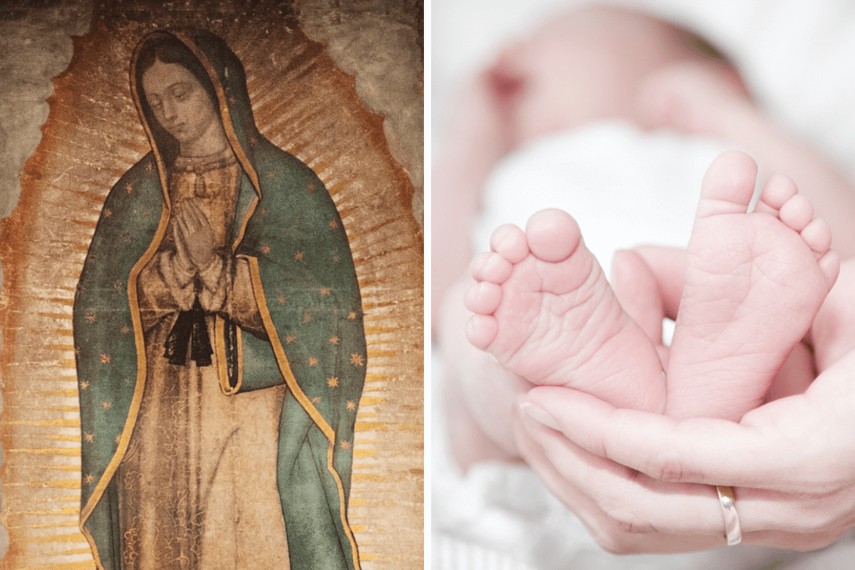 Oración a la Virgen de Guadalupe por los no nacidos.