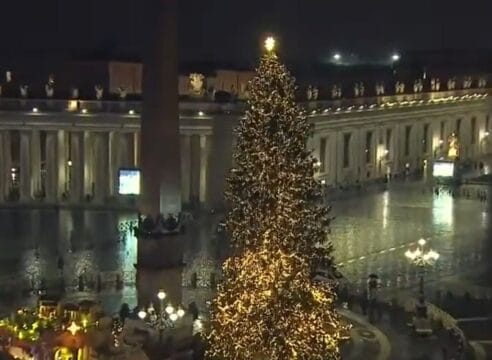Un árbol de 28 metros ilumina la Plaza de San Pedro del Vaticano