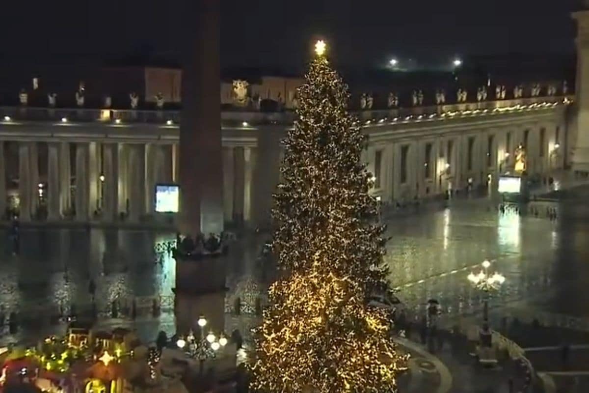 Árbol de Navidad en el Vaticano 2021.