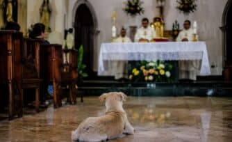 ¿Qué hacer cuando un perrito irrumpe en Misa?