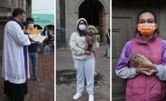 Así se vivió la bendición de los animales en este día de San Antonio