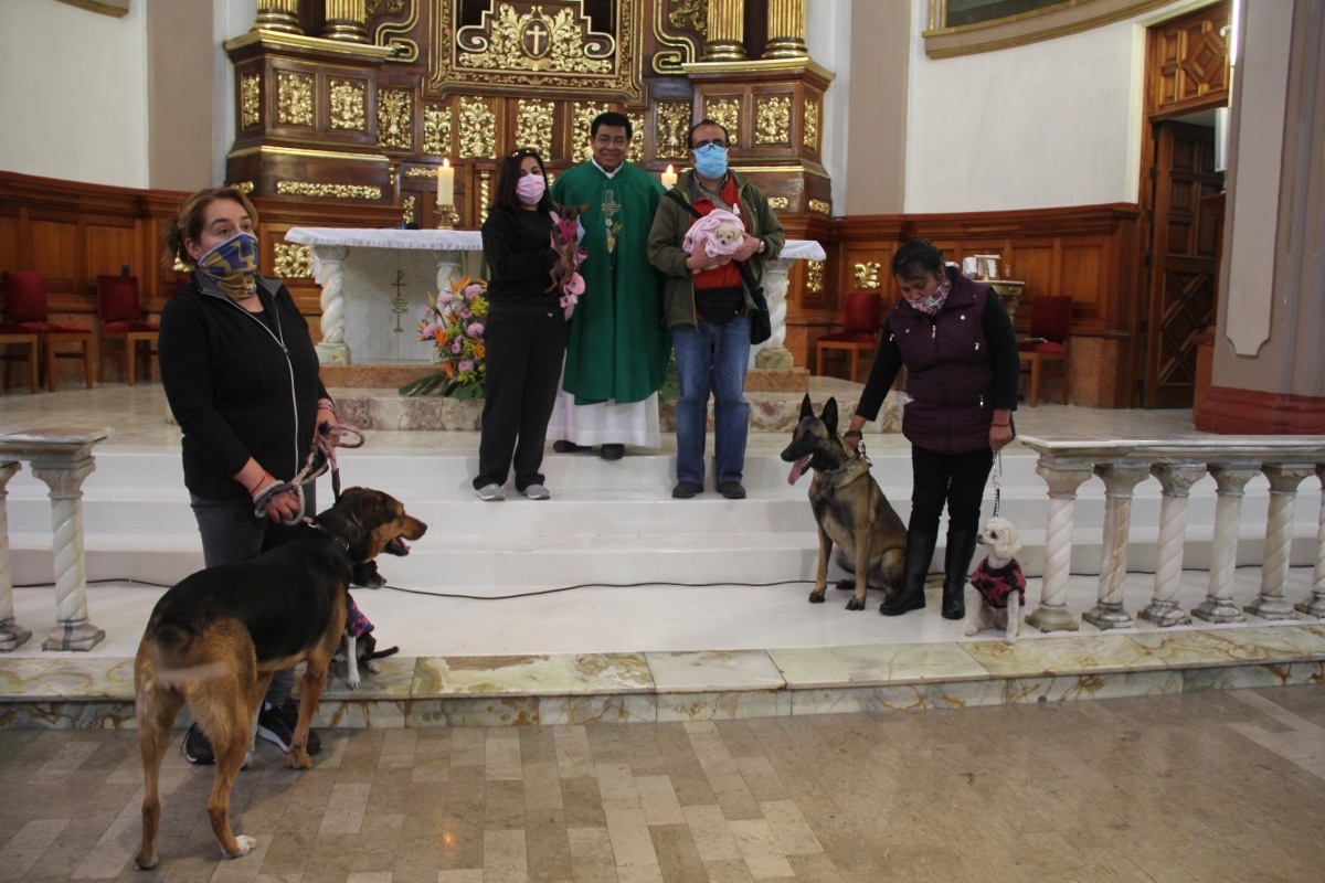 Bendición de las mascotas en la parroquia san Vicente Ferrer. Foto: Alfredo Márquez