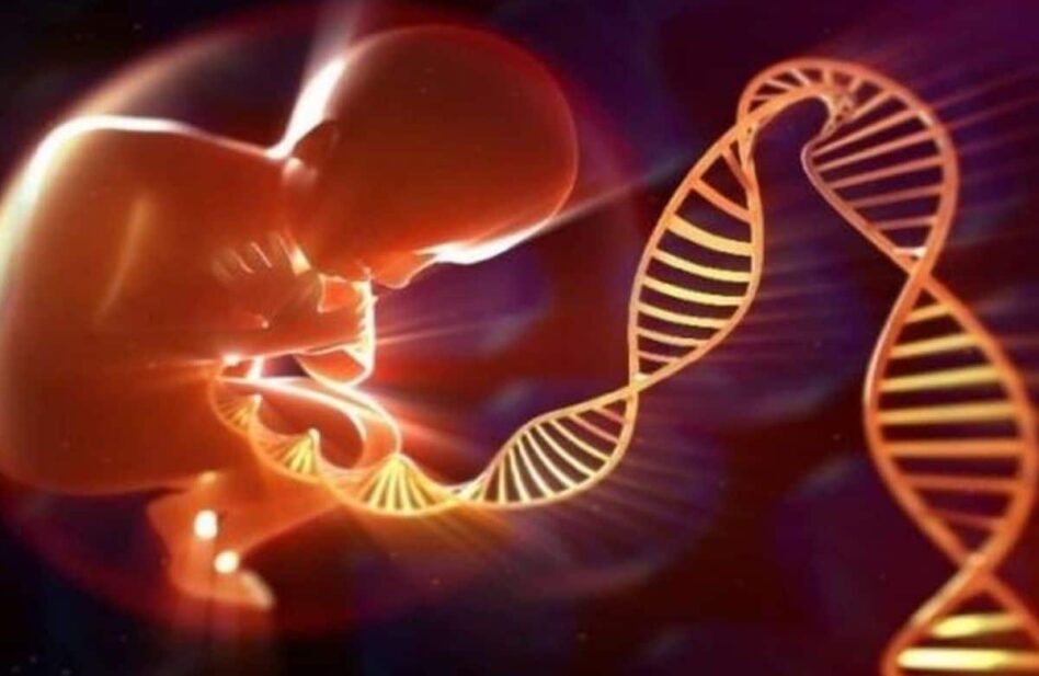 Marzo 2022: El Papa pide orar por la ciencia al servicio de la vida