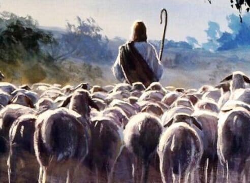 Lecturas de la Misa y Evangelio del Domingo 11 de mayo 2025