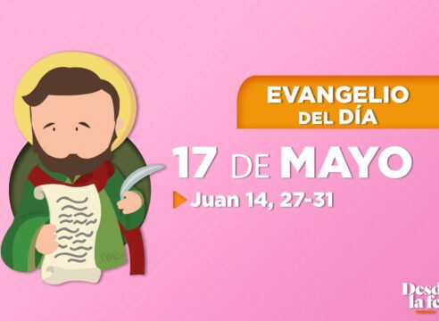 Evangelio del día y reflexión breve - 17 de mayo de 2022