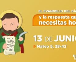 Evangelio del día y reflexión breve - 13 de junio de 2022