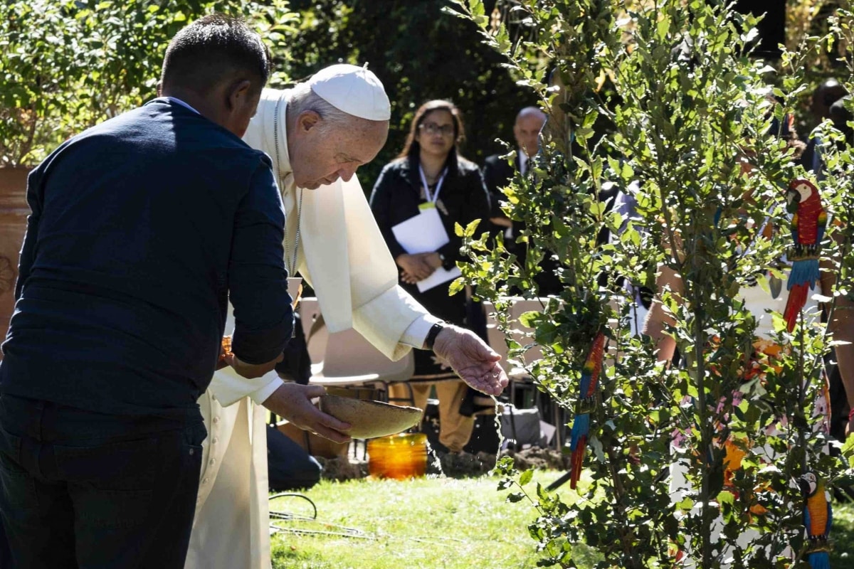 El Papa Francisco ha hablado sobre cómo tener fe es también proteger a la creación y al medio ambiente. Foto: Vatican Media.