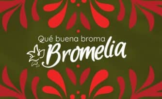 Que buena broma, Bromelia