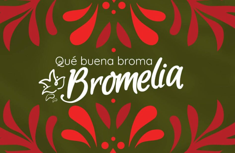 Que buena broma, Bromelia