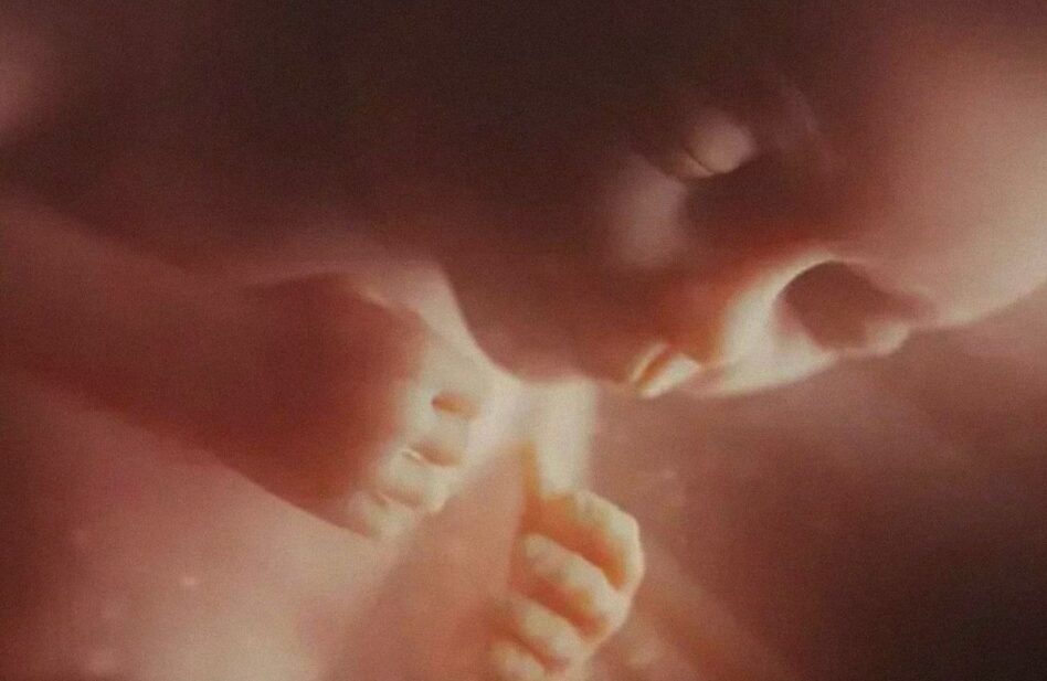 La ideología no está por encima de la vida