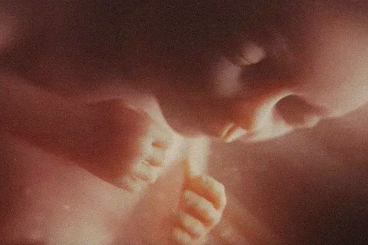 Planned Parenthood se molestó por la humanización de un niño por nacer. Fotograma de la película Blonde.