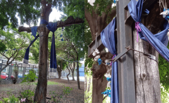 Un árbol en forma de cruz perfecta en medio de una ciudad caótica