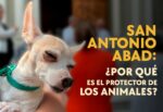 san antonio abad