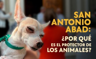 San Antonio Abad y la confusión que lo hizo patrón de los animales