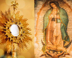 ¿Qué relación tiene la Virgen de Guadalupe con el Santísimo? Este hermoso video te dará la respuesta