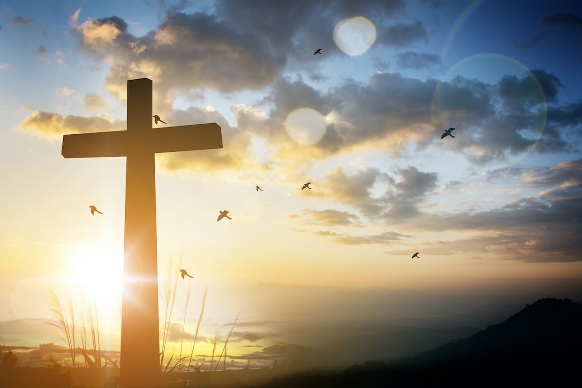 Evangelio 2 de julio: El que no toma su Cruz, no es digno de mí