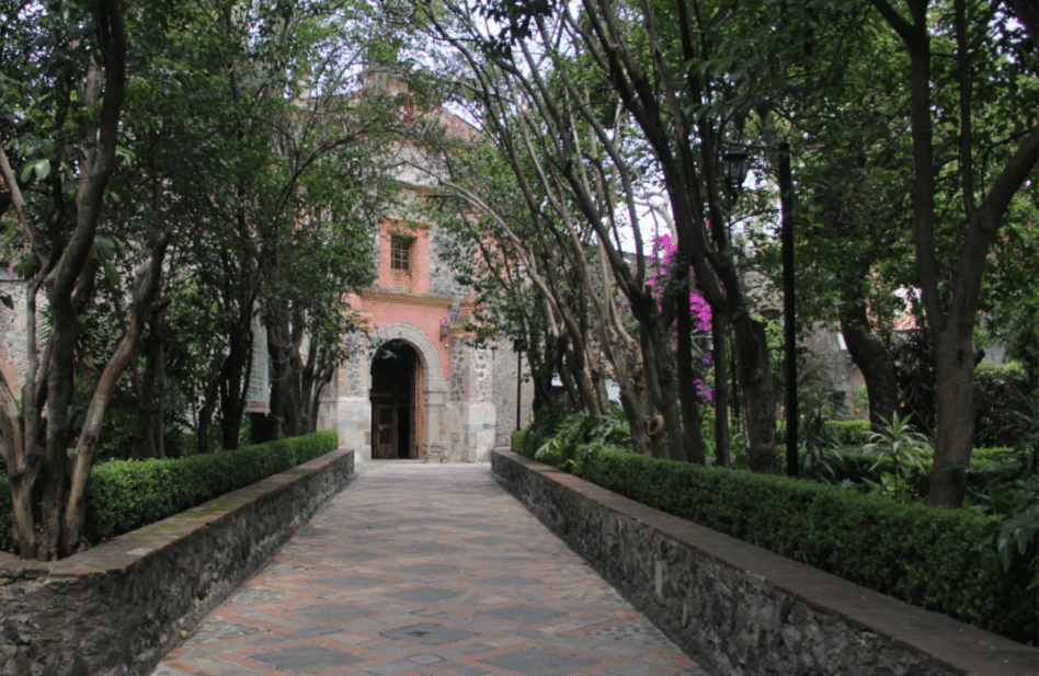 Arquidiócesis de México sigue los pasos del Vaticano y buscar crear parroquias verdes
