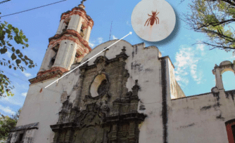 La hormiga que anunciará el fin del mundo. ¿Cómo surgió esta leyenda?