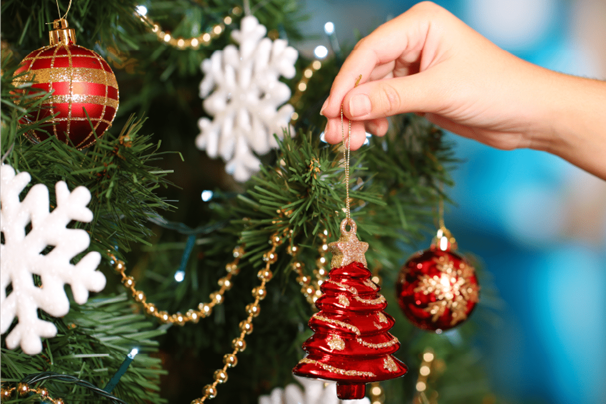 ¿Cuándo se quitan los árboles de Navidad?