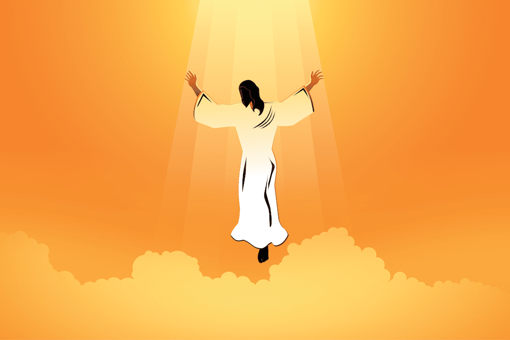 En el cuarto misterio luminoso se contempla el pasaje bíblico de la Transfiguración del Señor / Ilustración: Desde la fe