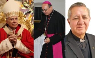 ¿Cuáles son las diferencias entre monseñor, cardenal y obispo?