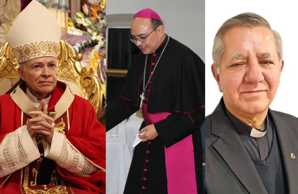 ¿Cuáles son las diferencias entre monseñor, cardenal y obispo?