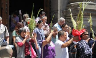 En fotos: así se vivió el Domingo de Ramos 2025 en la Arquidiócesis de México