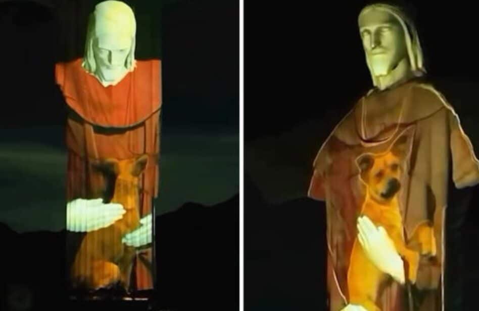 El Cristo Redentor de Brasil se ilumina y abraza a un perro callejero para fomentar la adopción