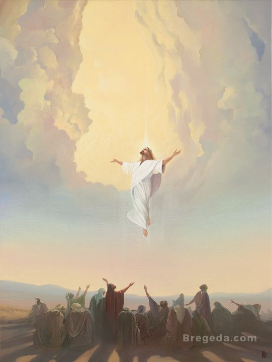¿Sabes qué nos revela la Ascensión de Jesús sobre Su Resurrección?