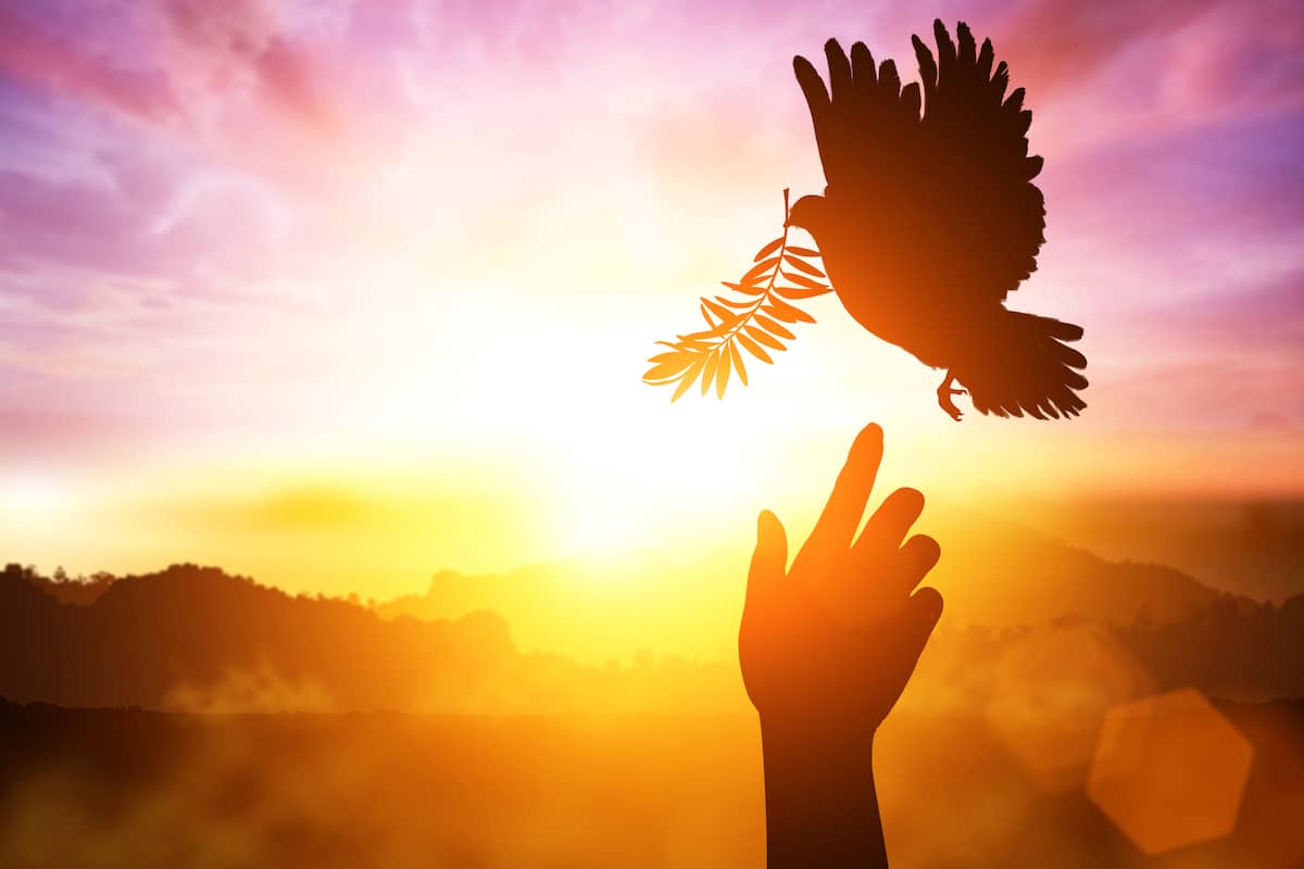 ¿Qué quiso decir Jesús con que el Espíritu Santo nos enseñará y recordará sus palabras?