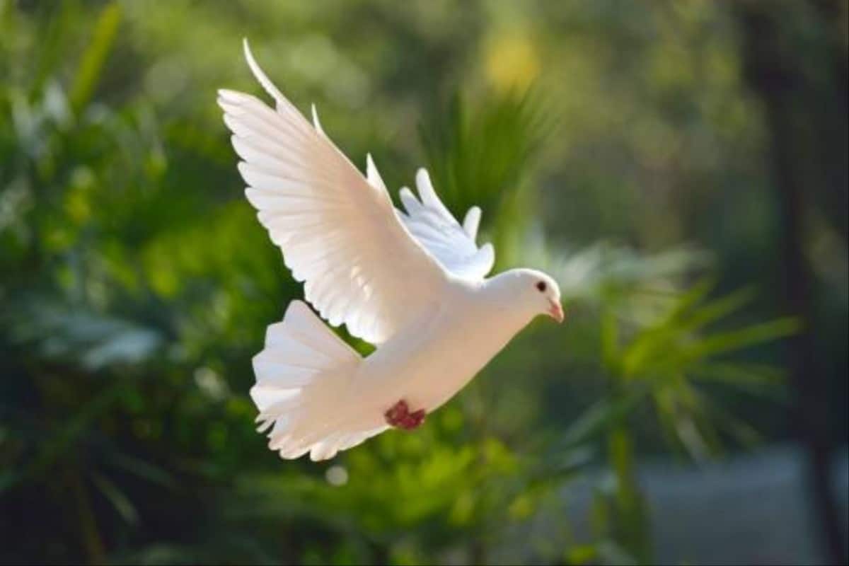 ¿Cómo era el Espíritu Santo en tiempos de los profetas? ¿Cómo es ahora?