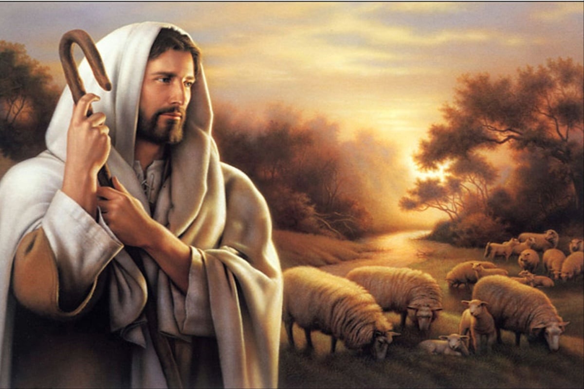 Jesús nos dará un pastor según su corazón