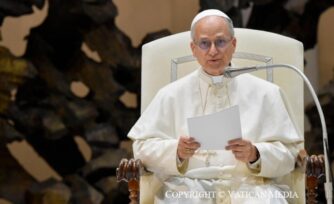 Análisis del discurso del Papa León XIV: ¿qué temas son los que más le interesan?