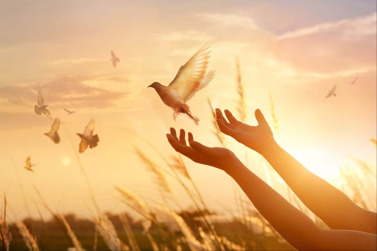 Oración por la paz