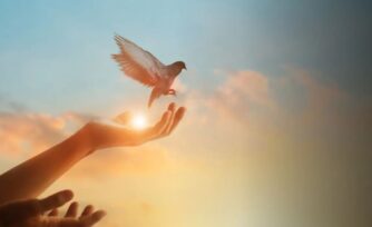 Oración por la paz