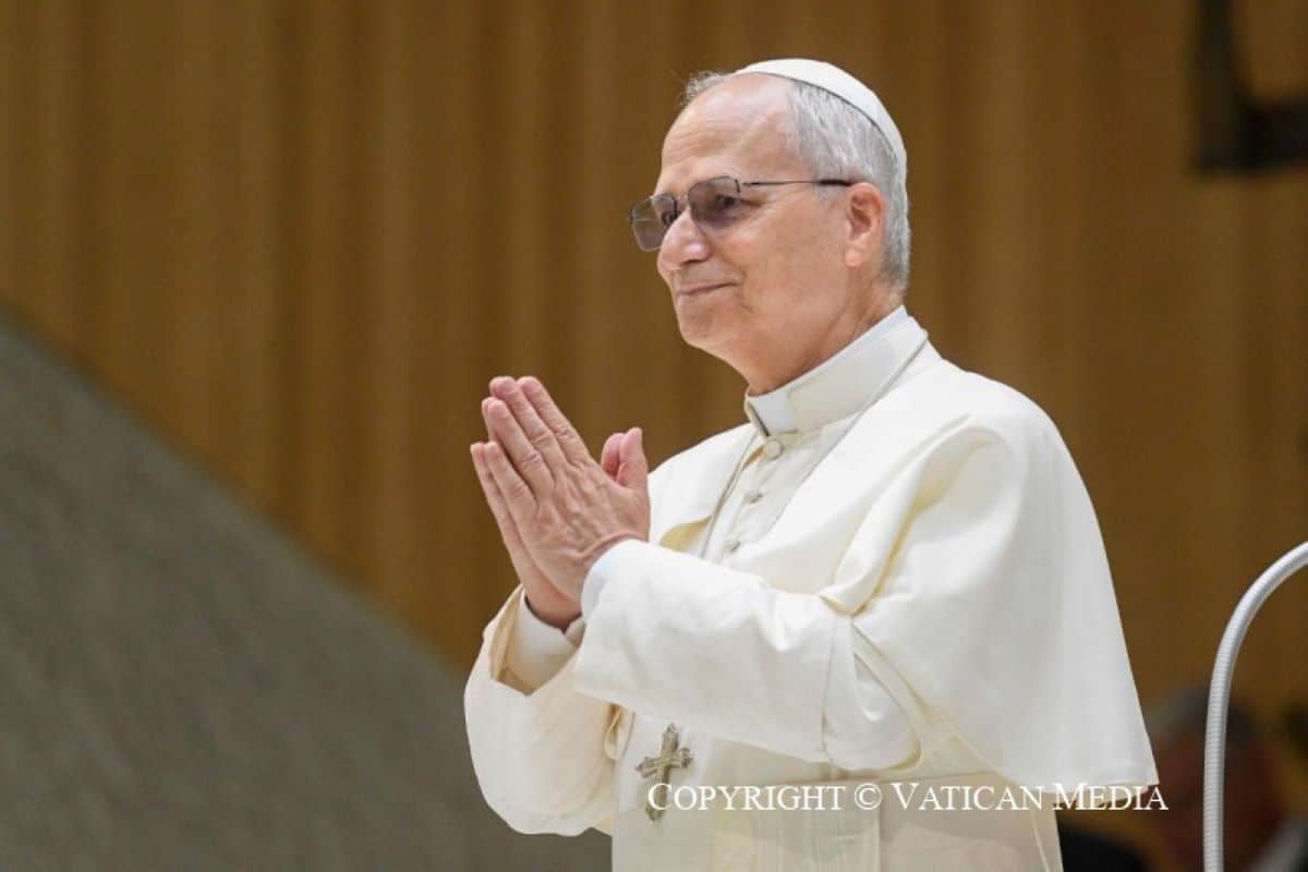 Hacia una paz desarmada y desarmante, tema del Papa León XIV para la Jornada Mundial de la Paz