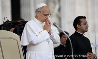 El Papa León XIV convoca a rezar un Rosario mundial por la Paz el 11 de octubre