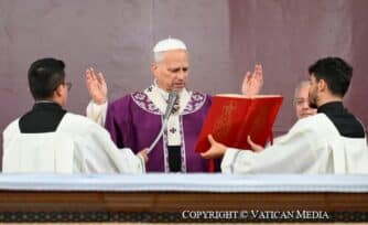 ¿Qué pide el Papa León XIV en sus intenciones de oración para noviembre de 2025?