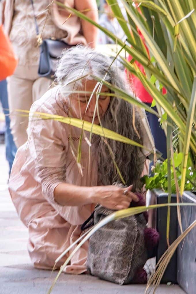 Cierre Puerta Jubilar Mónica