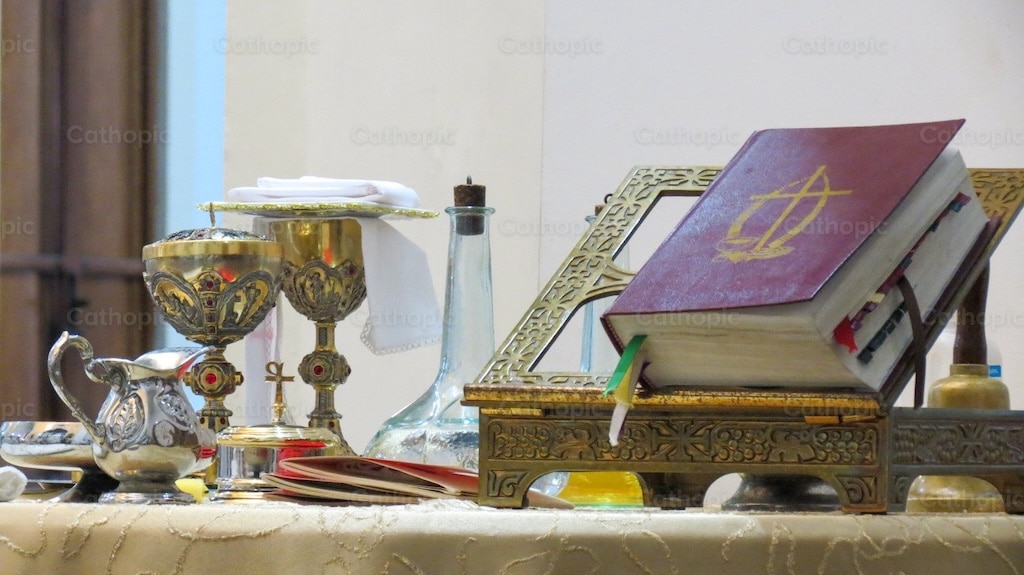 Ciclo A ¿cómo puedes disfrutarlo?