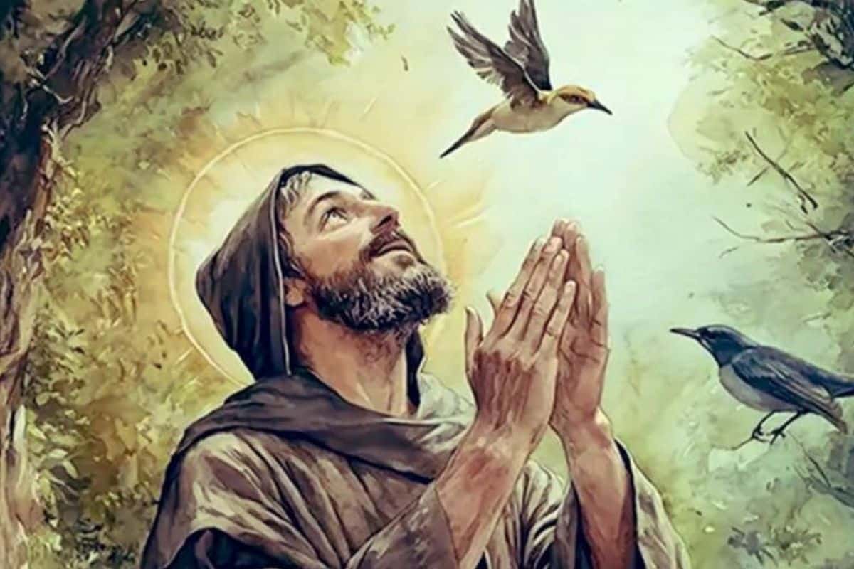 Inician los festejos por los 800 años de San Francisco de Asís: muerte, orden y legado