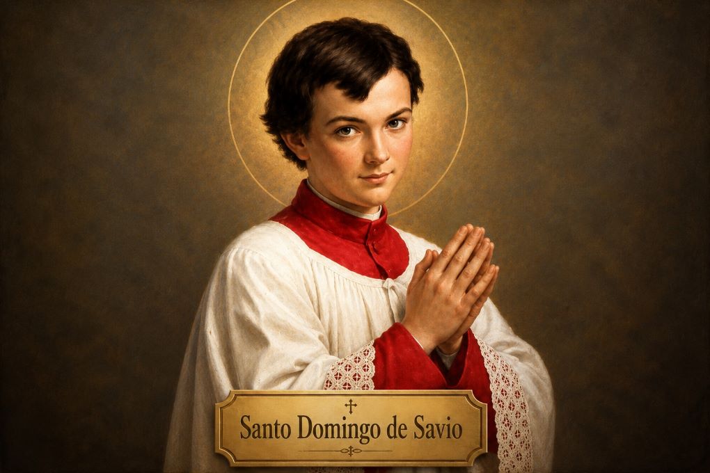 santo domingo de savio