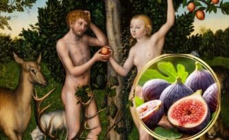 ¿Manzana o higo? Lo que la Biblia dice realmente sobre el fruto prohibido